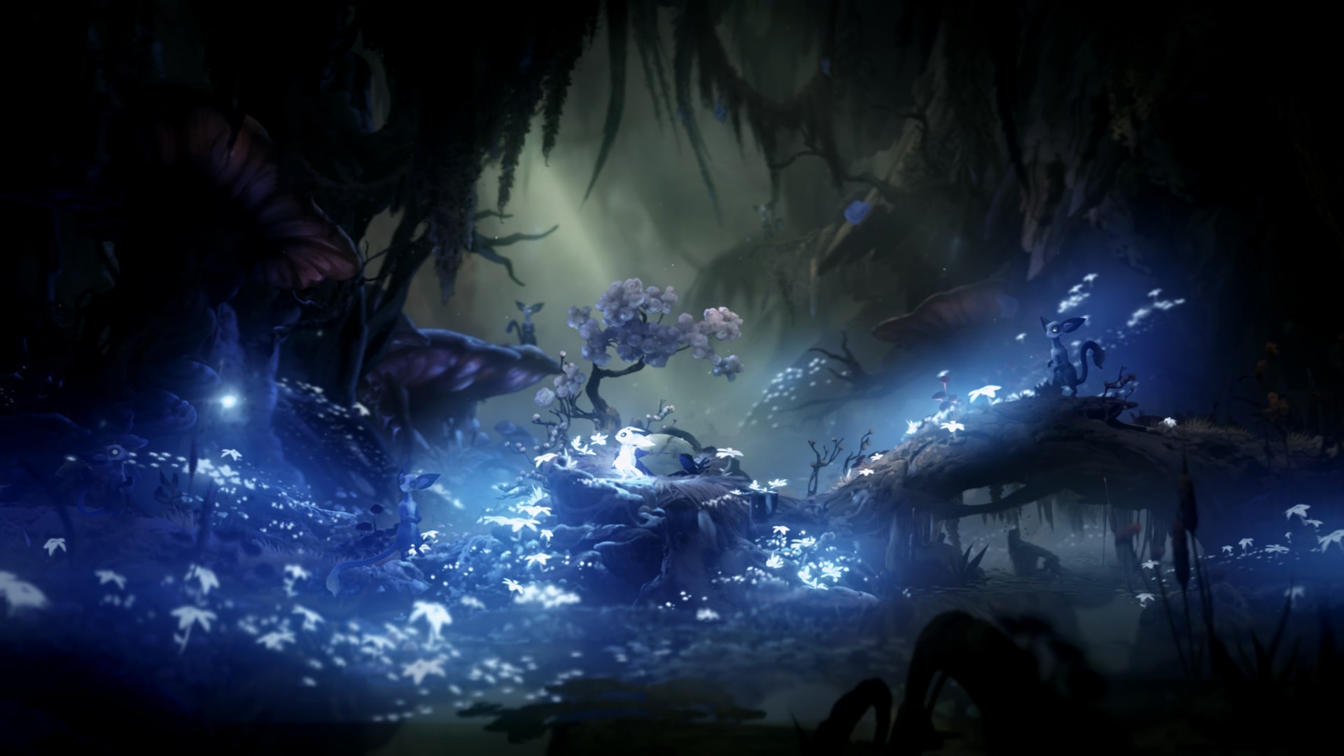 To już pewne - będzie kolejne Gears of War!