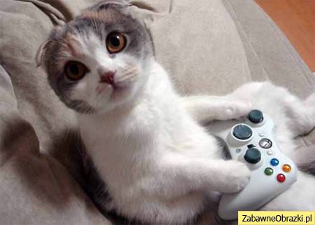 Red Dead Redemption dla każdego