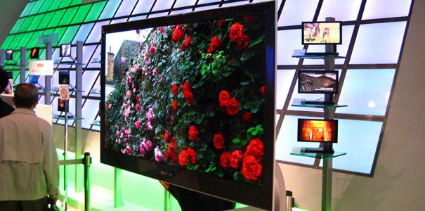 Sony planuje wrócić do produkcji telewizorów OLED