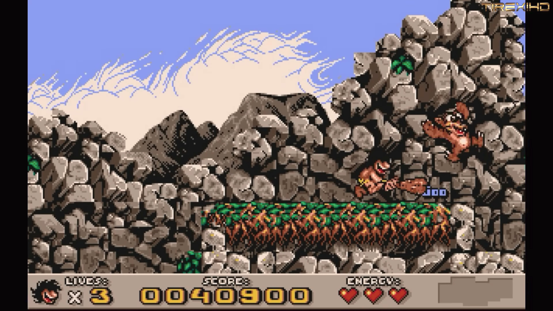 user-77951 blog gallery image