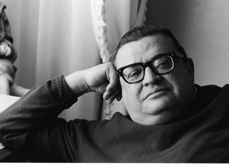 Mario Puzo / Ojciec chrzestny