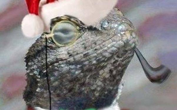 Lizard Squad „złamało” zabezpieczania PlayStation 4?