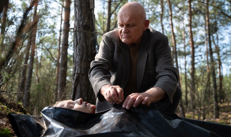 W głębi lasu to kolejny polski serial od platformy Netflix. Znamy datę premiery i szczegóły