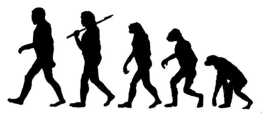 Ewolucja w przeciwną stronę…