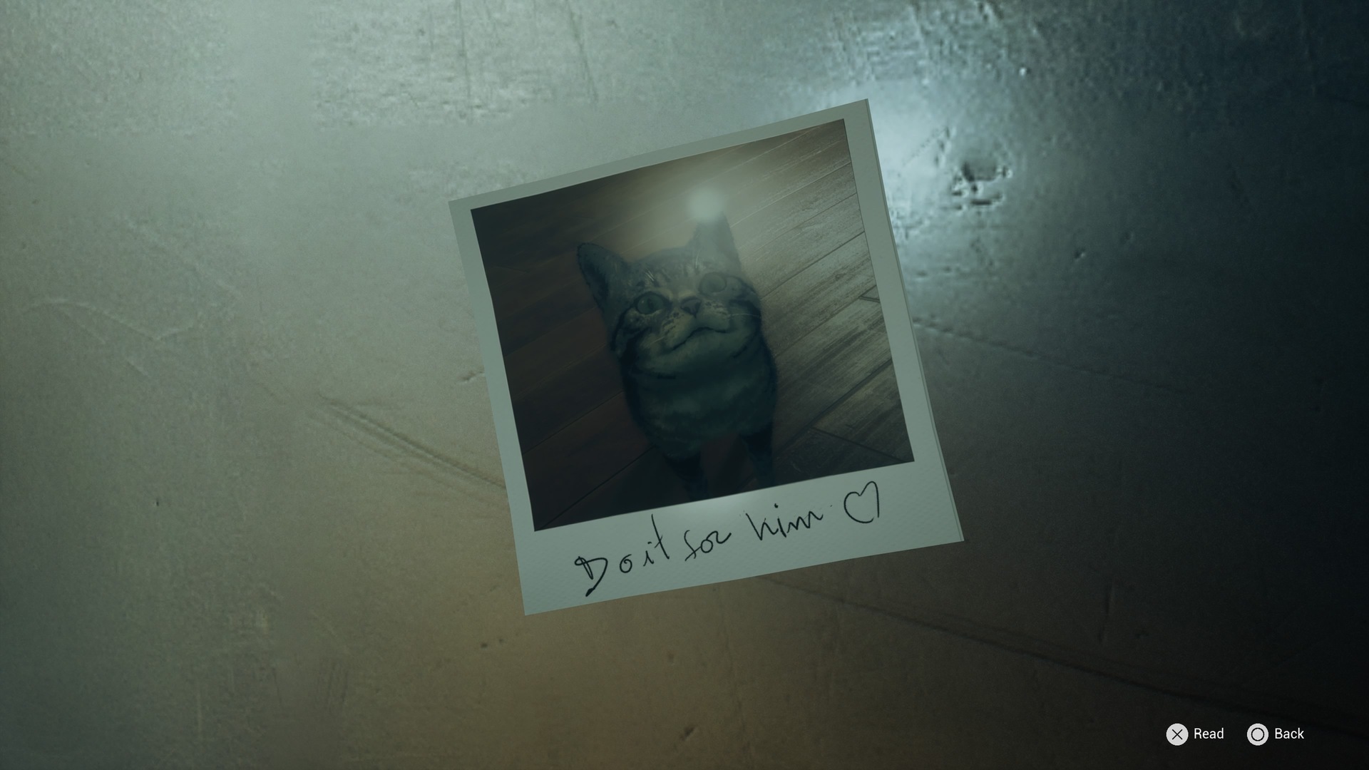 AILA (PS5) - galeria zdjęć #4