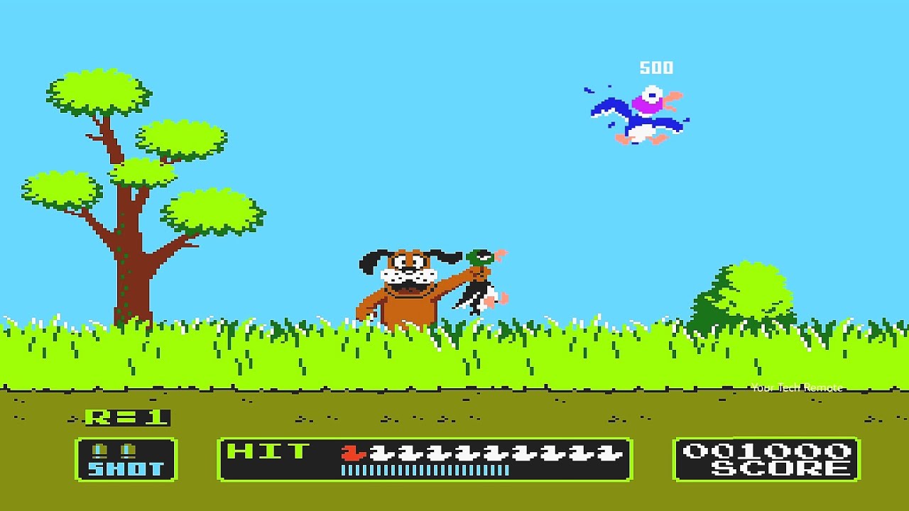 Duck hunt