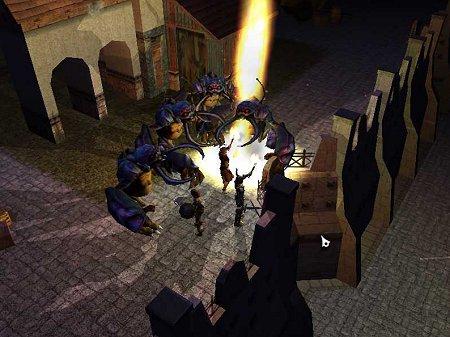 Neverwinter Nights