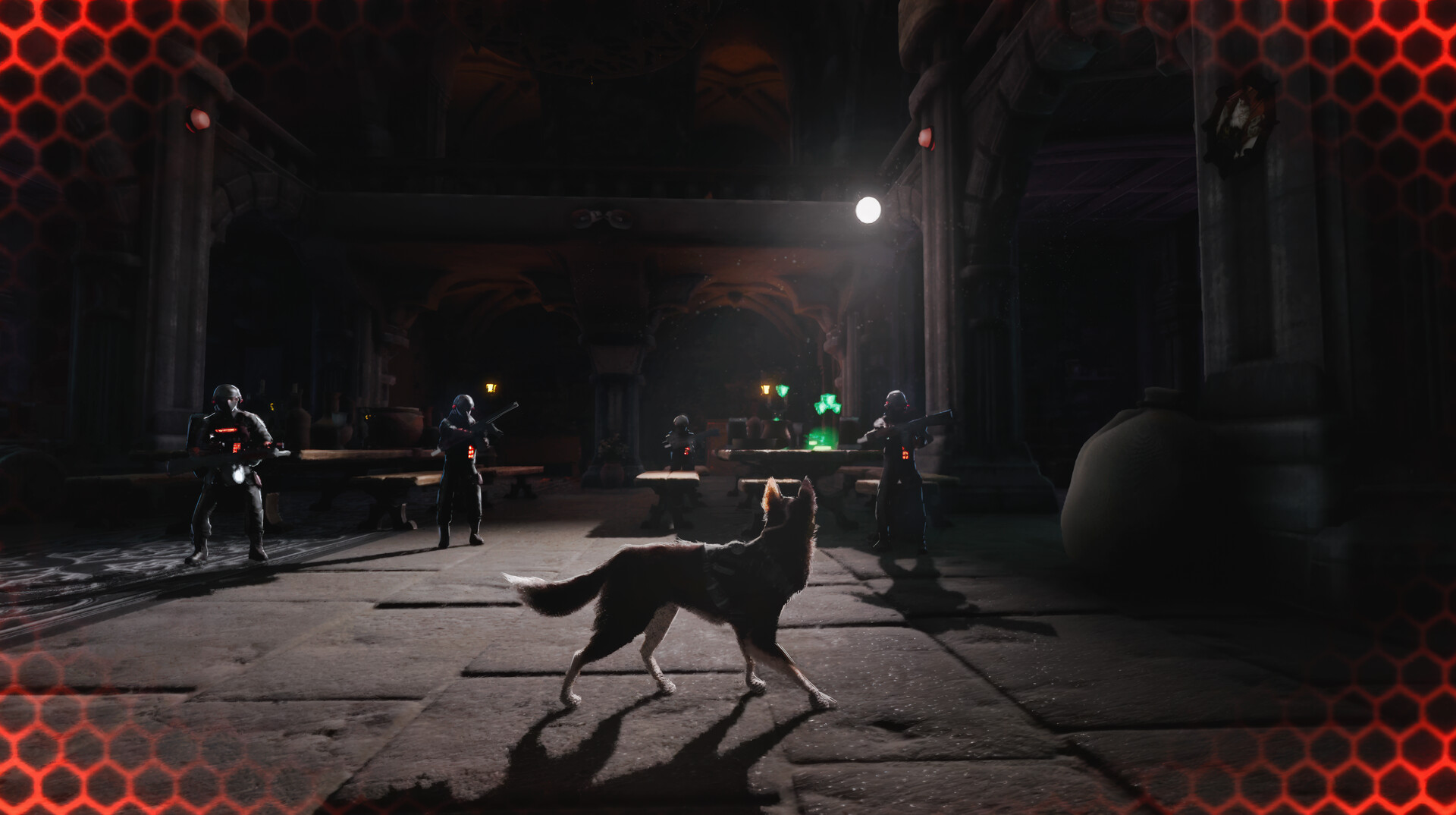 Barkour #5