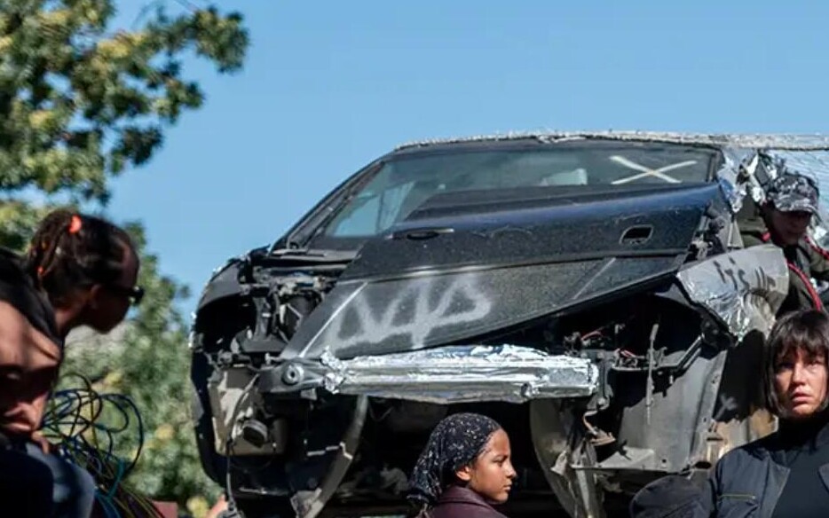 Pies 51 (2025) - recenzja filmu [Kino Świat]. Nie ufaj nikomu, jeśli nie wiesz, gdzie jest jego mózg