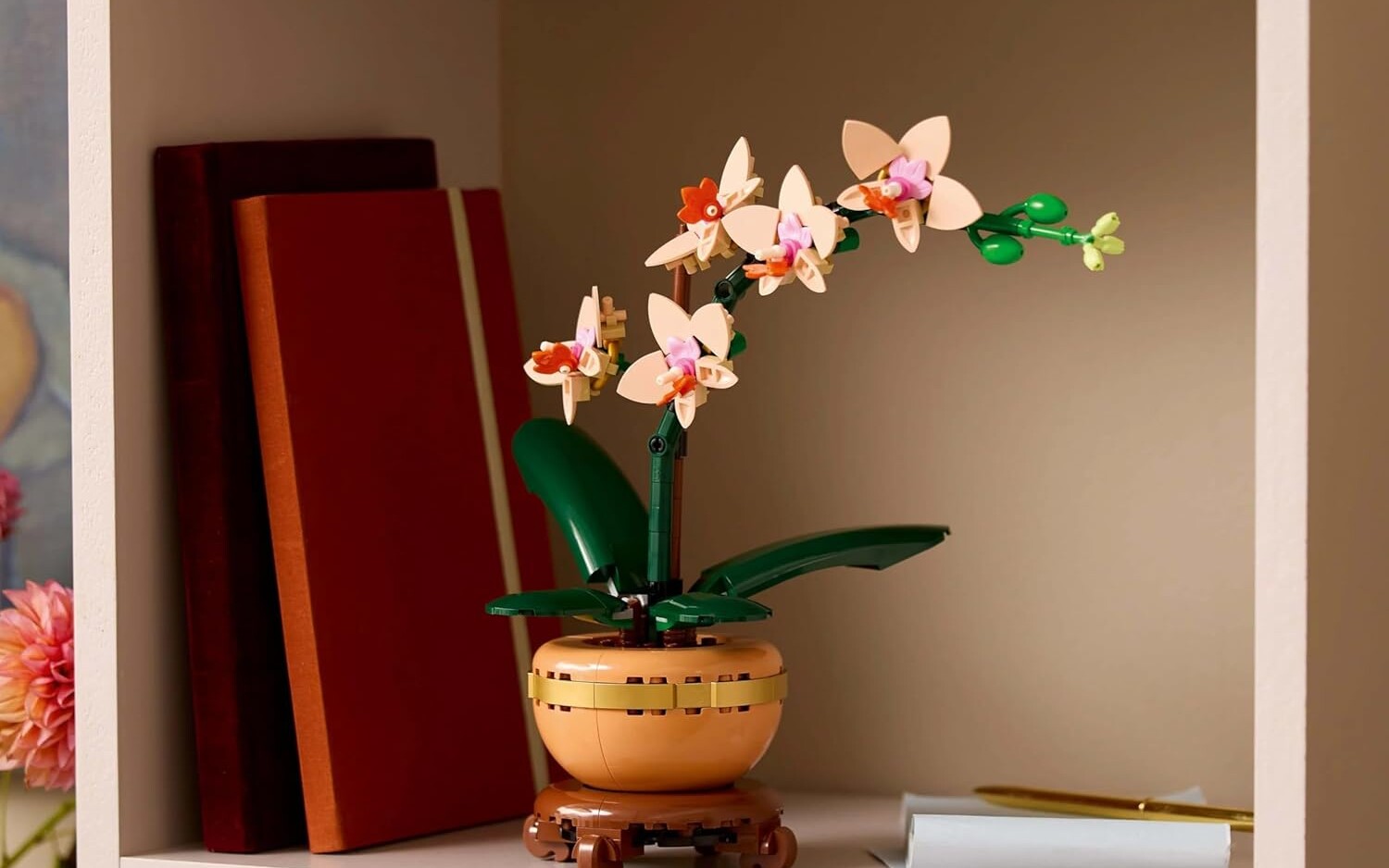 mała orchidea