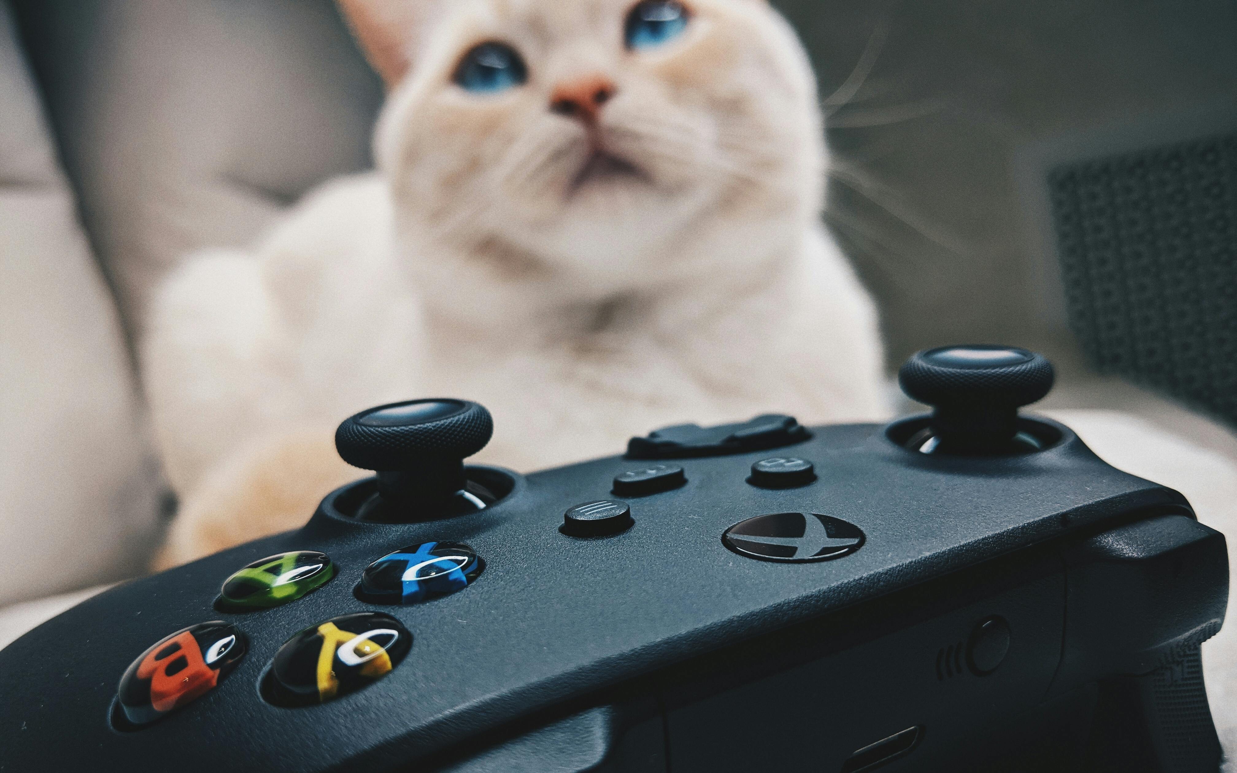 Xbox Game Pass miał podobno zatapiać sprzedaż gier. Jest dokładnie na odwrót