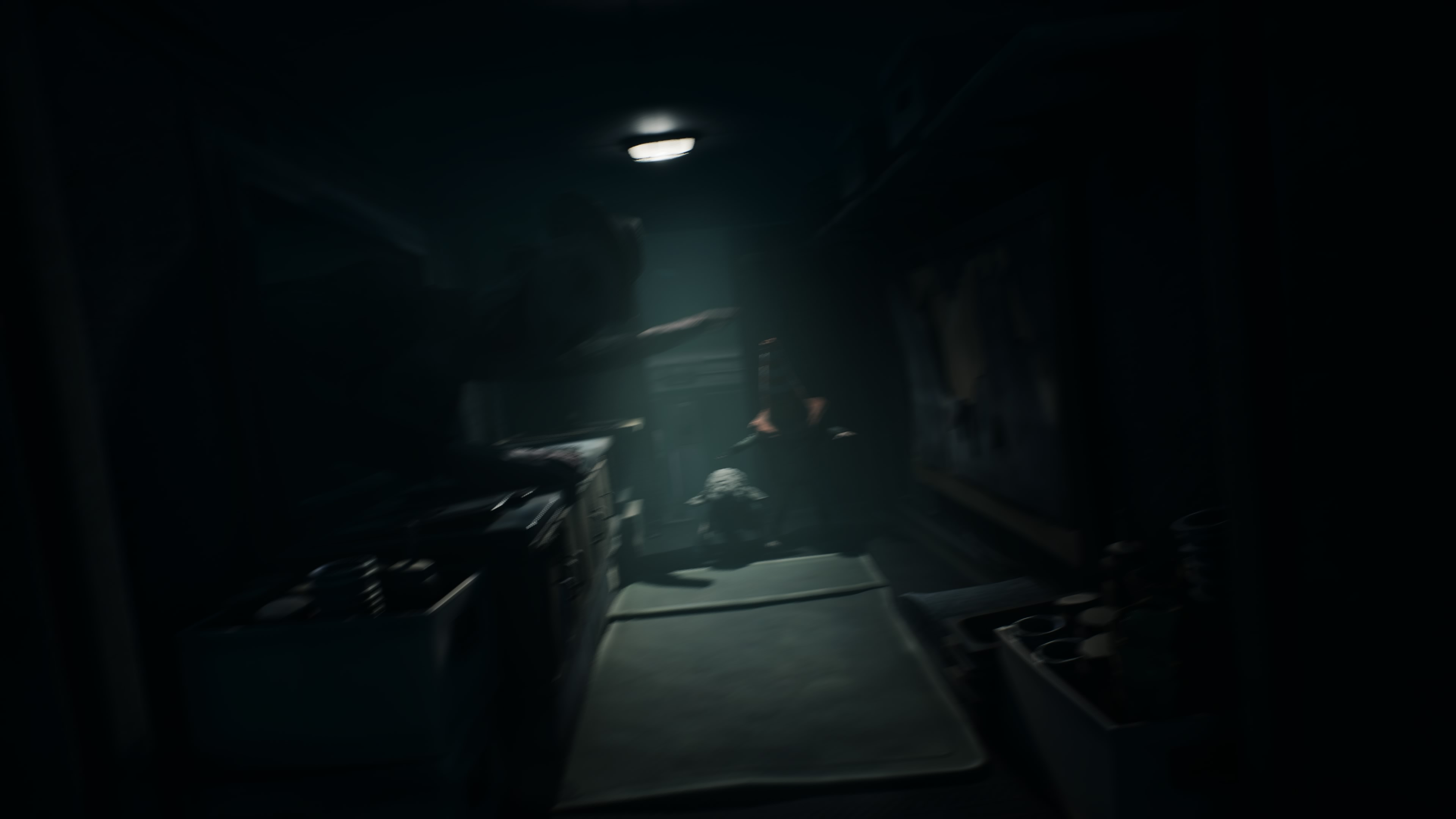 Reanimal - Akt 1: Dom oczyszczenia, opis przejścia, znajdźki