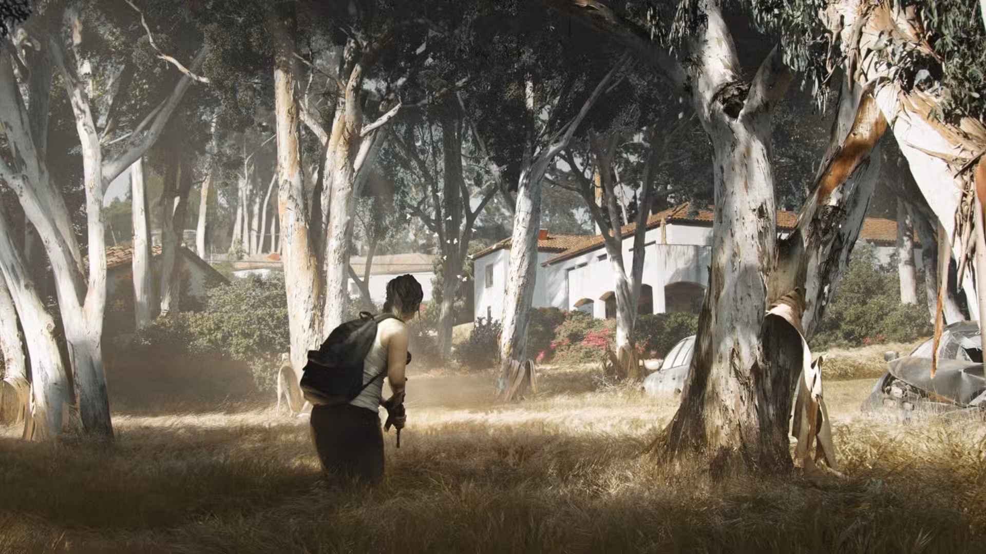 The Last of Us Powerlines #1