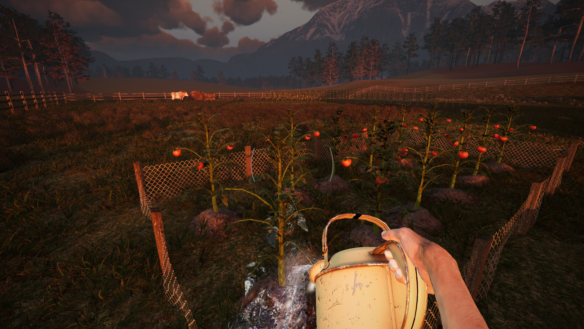 We Harvest Shadows #2