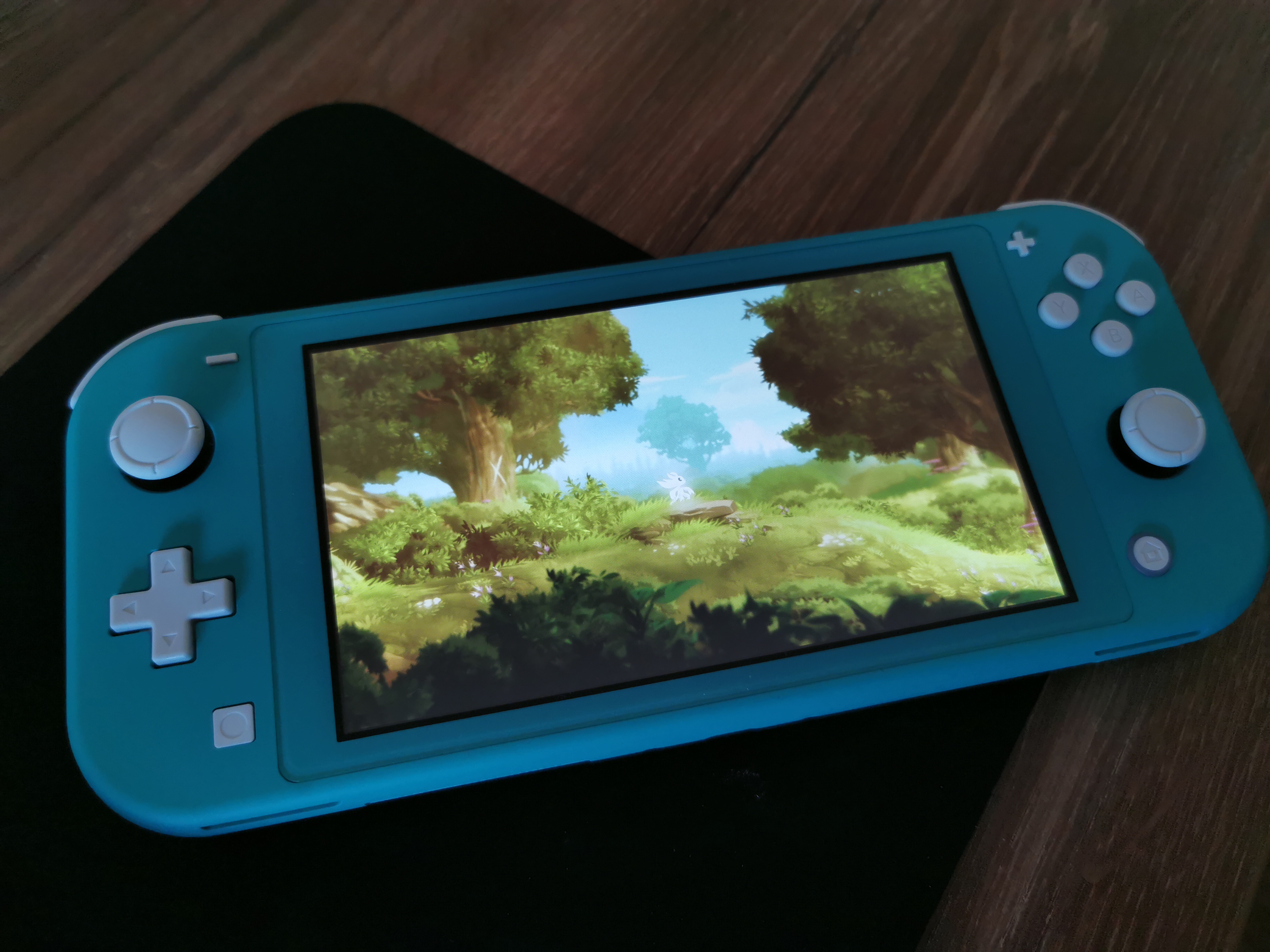 Poznajcie maskotkę Quantum Conundrum