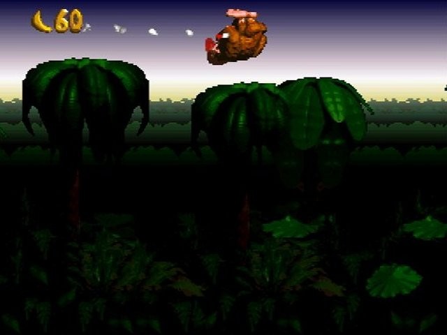 Donkey Kong Country
