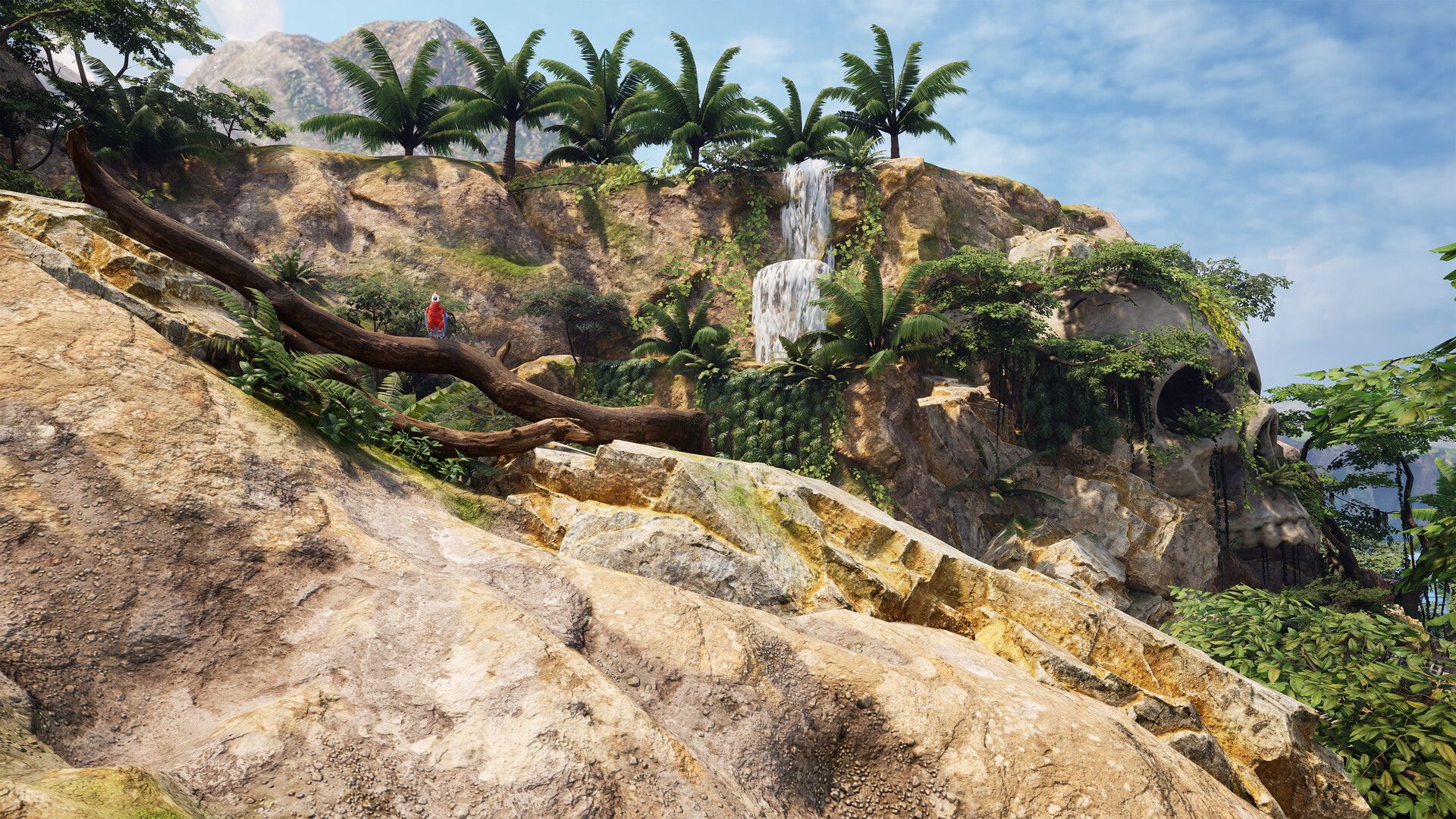 Pirates VR: Jolly Roger #8