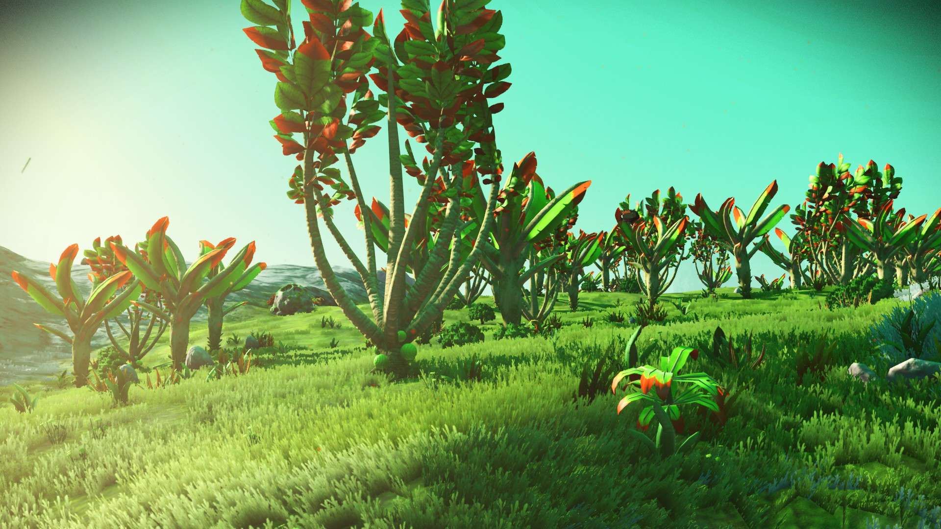 Filmowy przegląd tytułów na PSVita