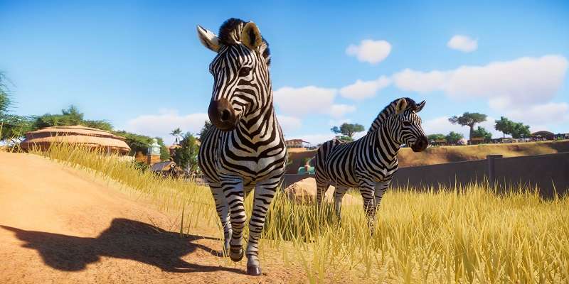 Planet Zoo. Nowy gameplay prezentuje opiekę nad zwierzętami