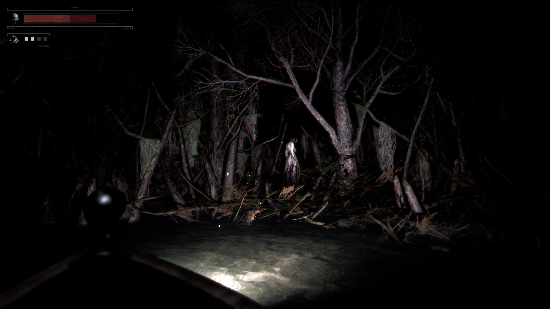 Drowned Lake #4