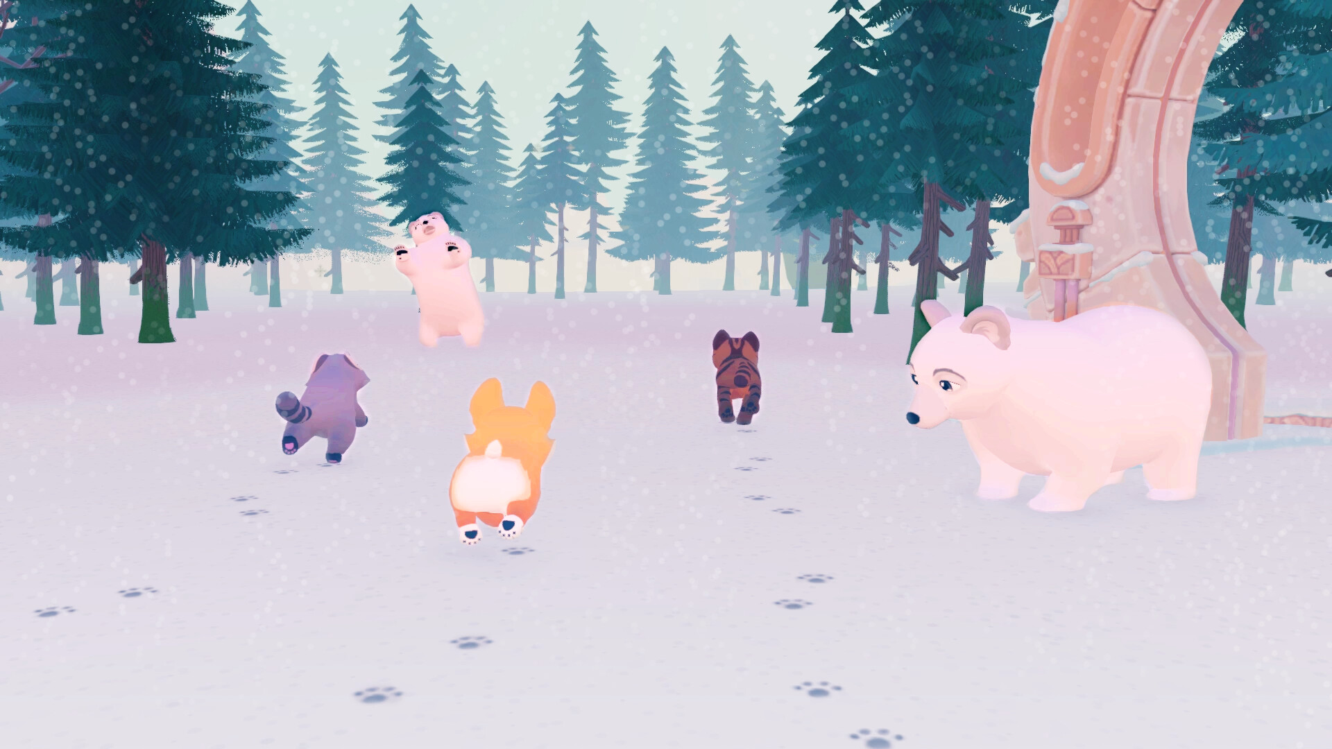 ANIMALKIND #6