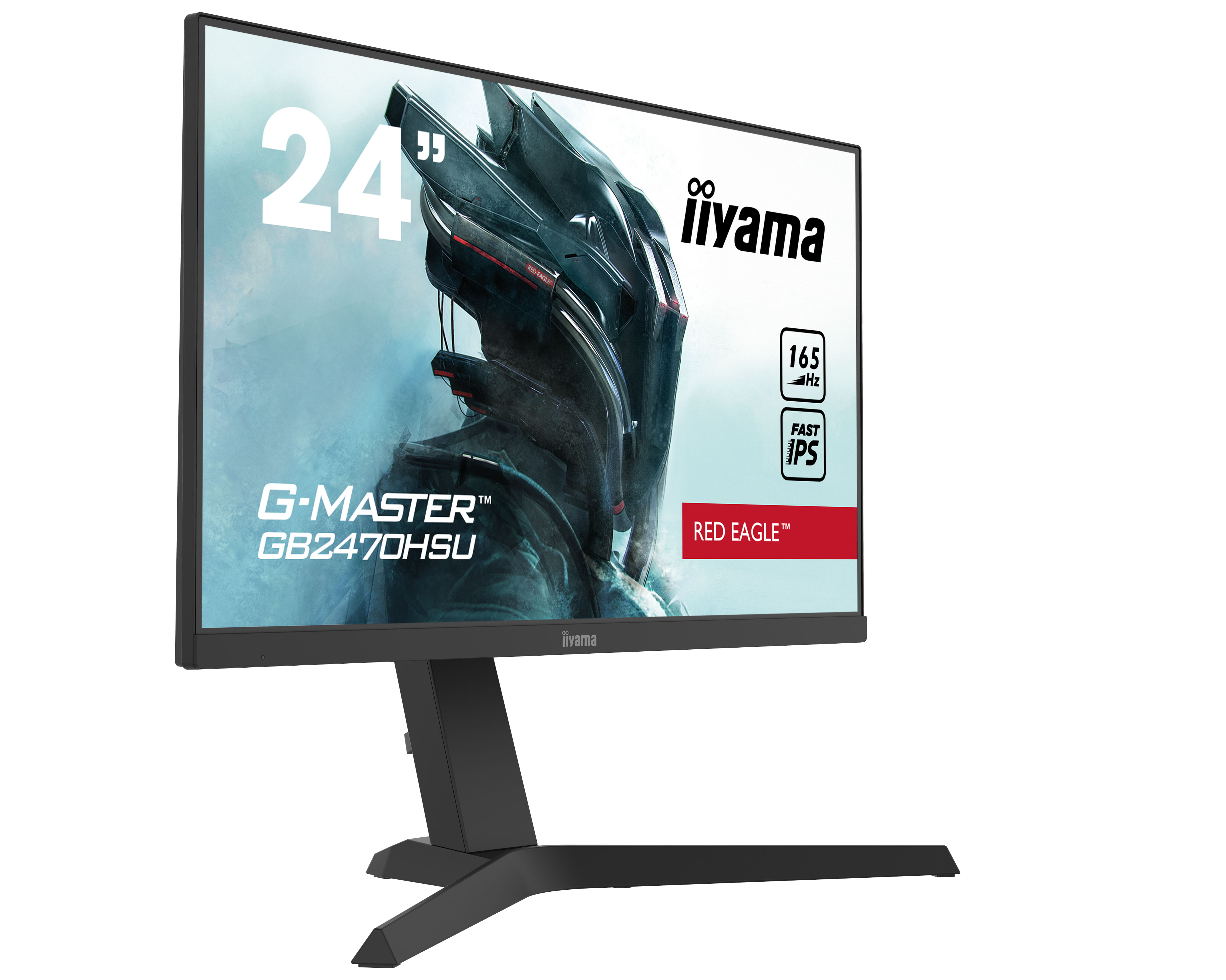 Iiyama_6