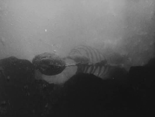 Kto się skusi na taki hardkor?