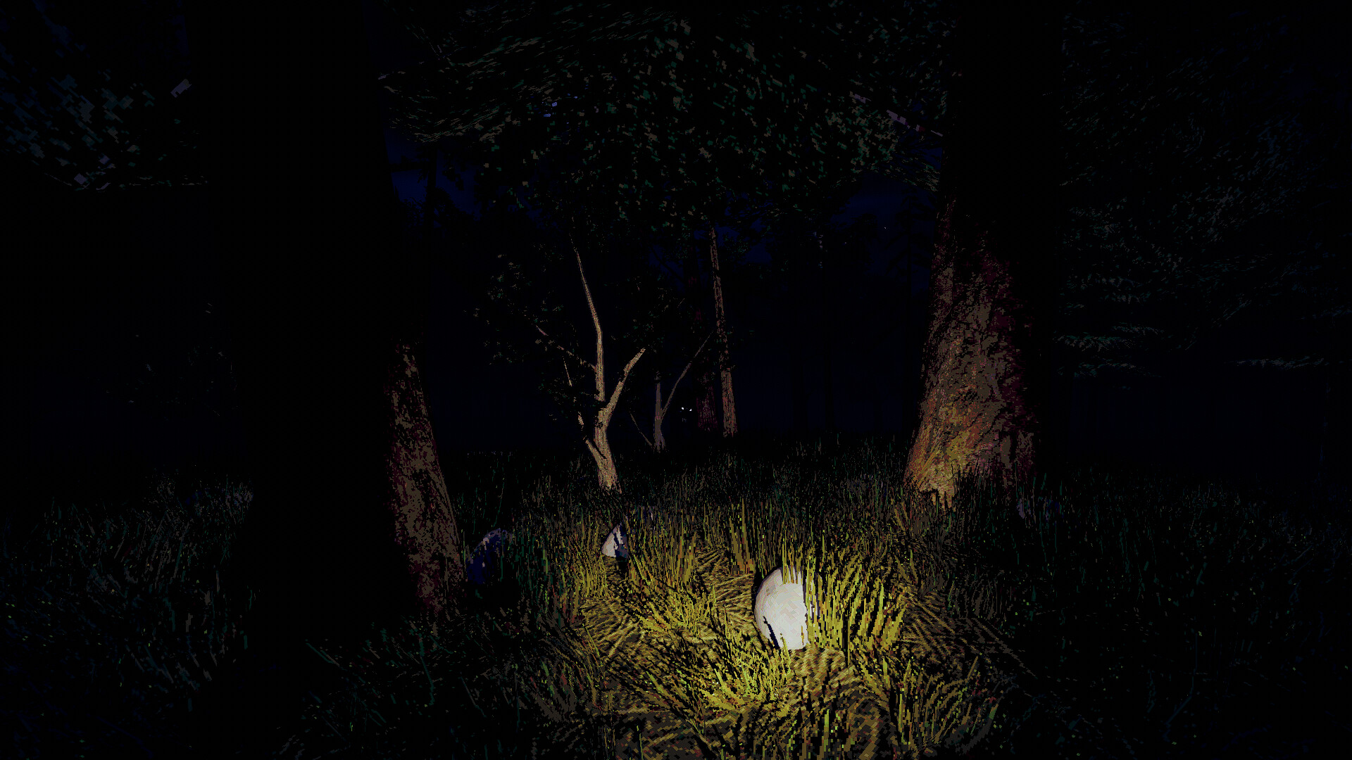 Blue Ridge Hunting #5