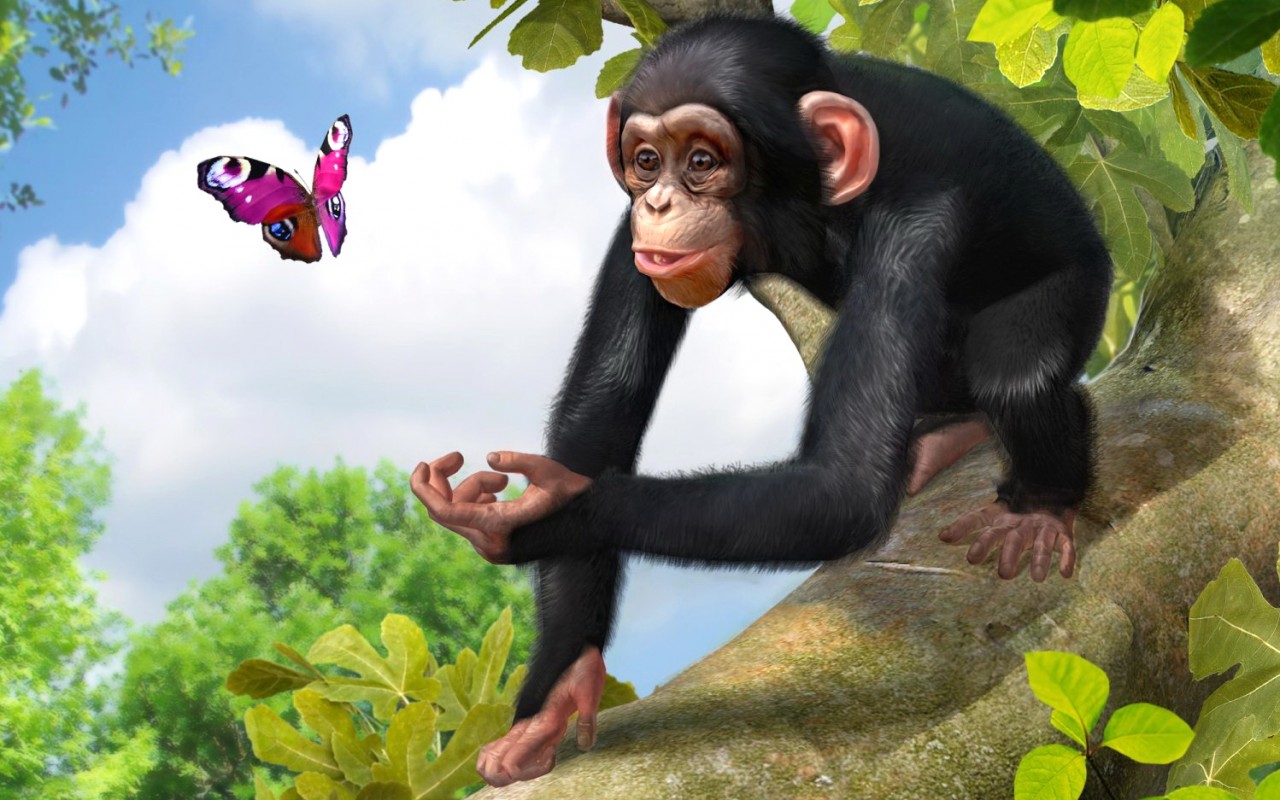 Zbuduj własne zoo, wspieraj prawdziwe zwierzaki - pierwszy gameplay z Zoo Tycoon
