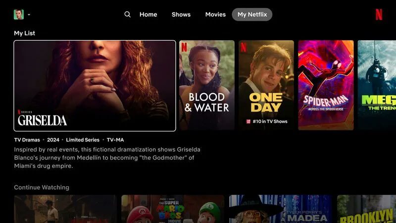 New Netflix Interface #2