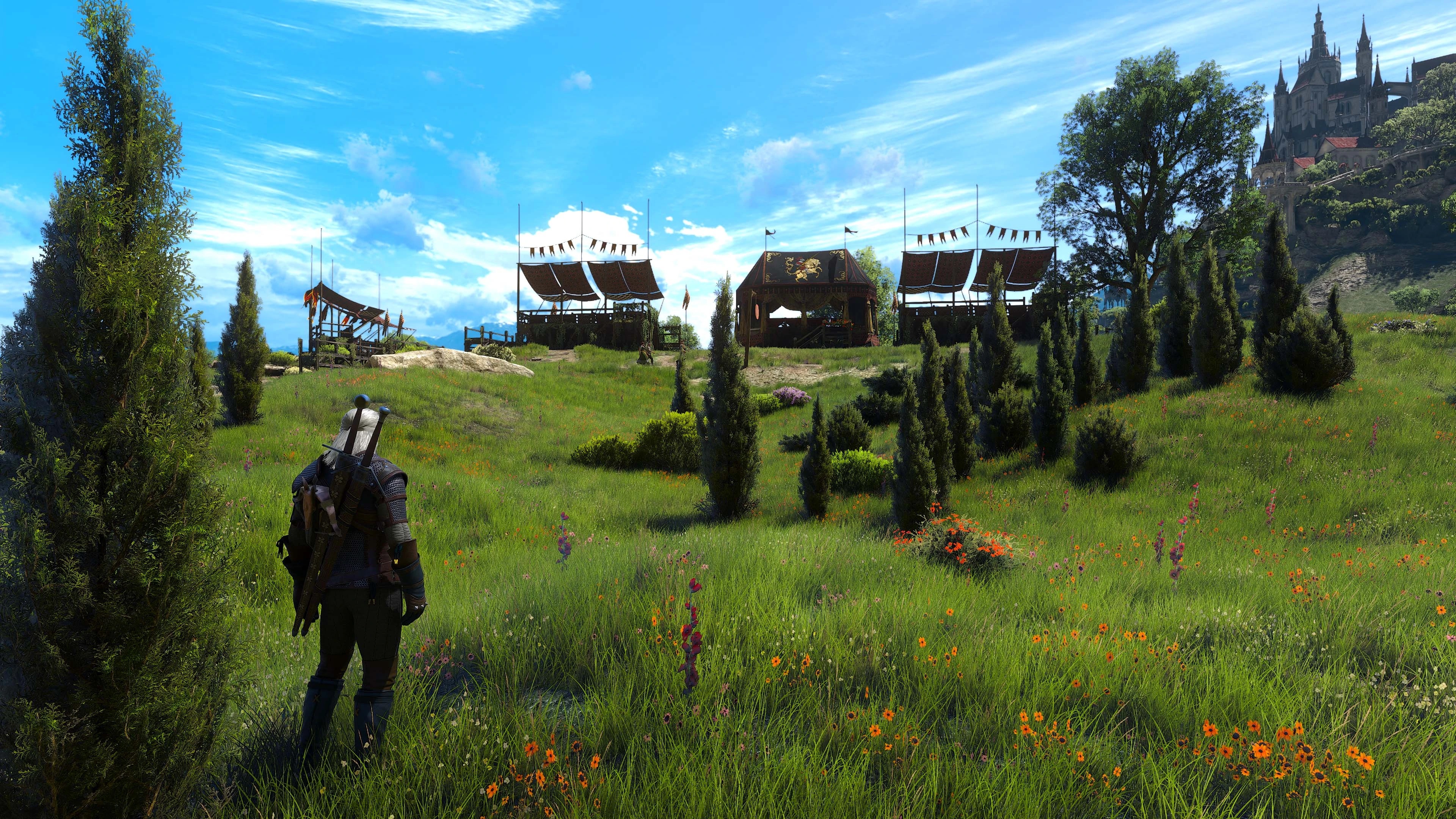 Wiedźmin 3 - modyfikacja #3