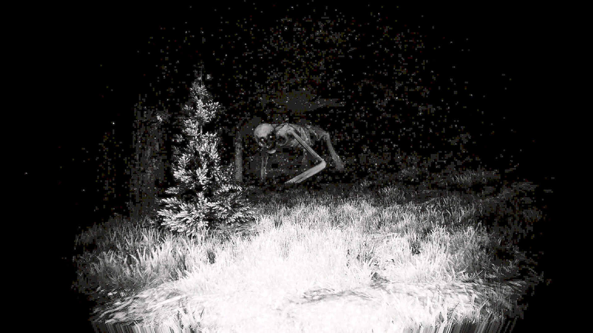 Prospice: Anomalous Logistics #8