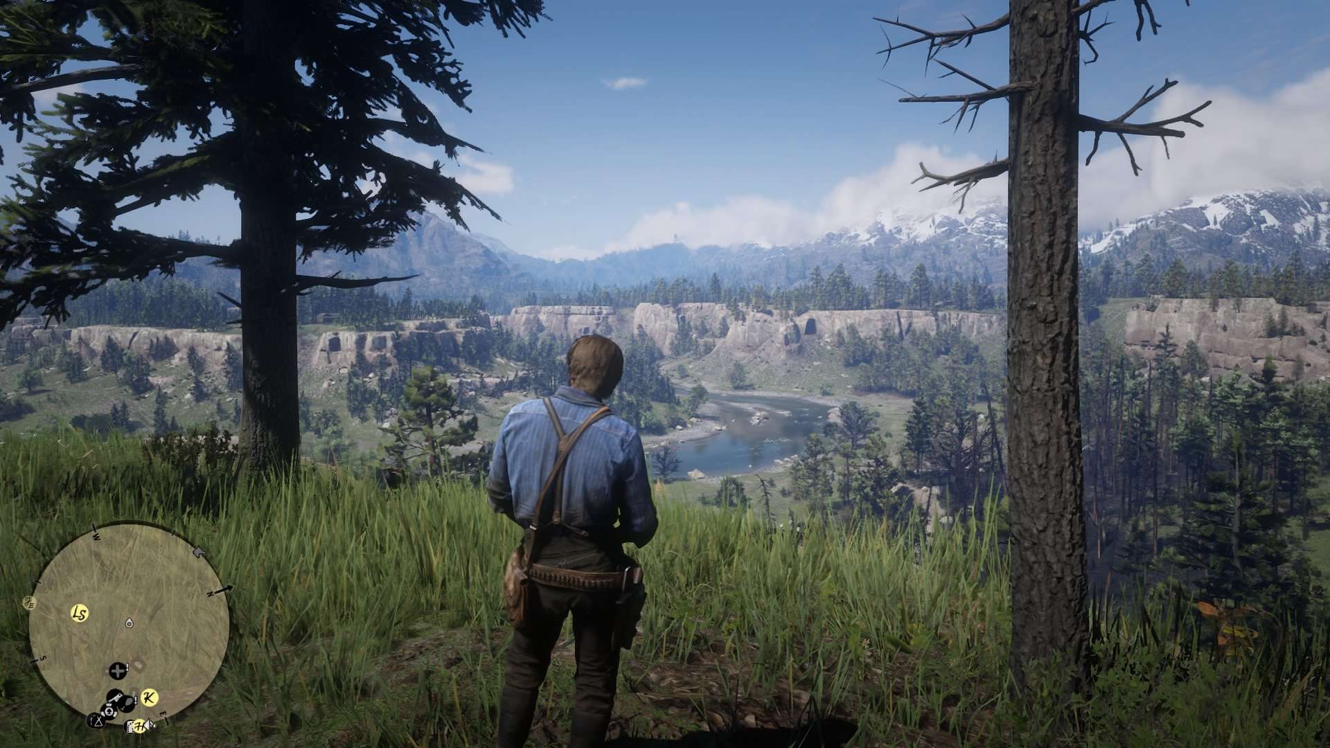 "Mistrzowskie promocje" Cenegi