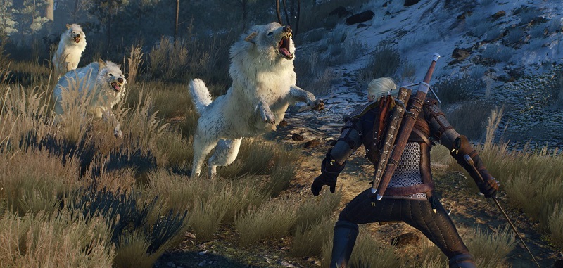 Geralt i wilk po jednej stronie? Nowy mod umożliwia współpracę pomiędzy bohaterem serii Wiedźmin a zwierzętami