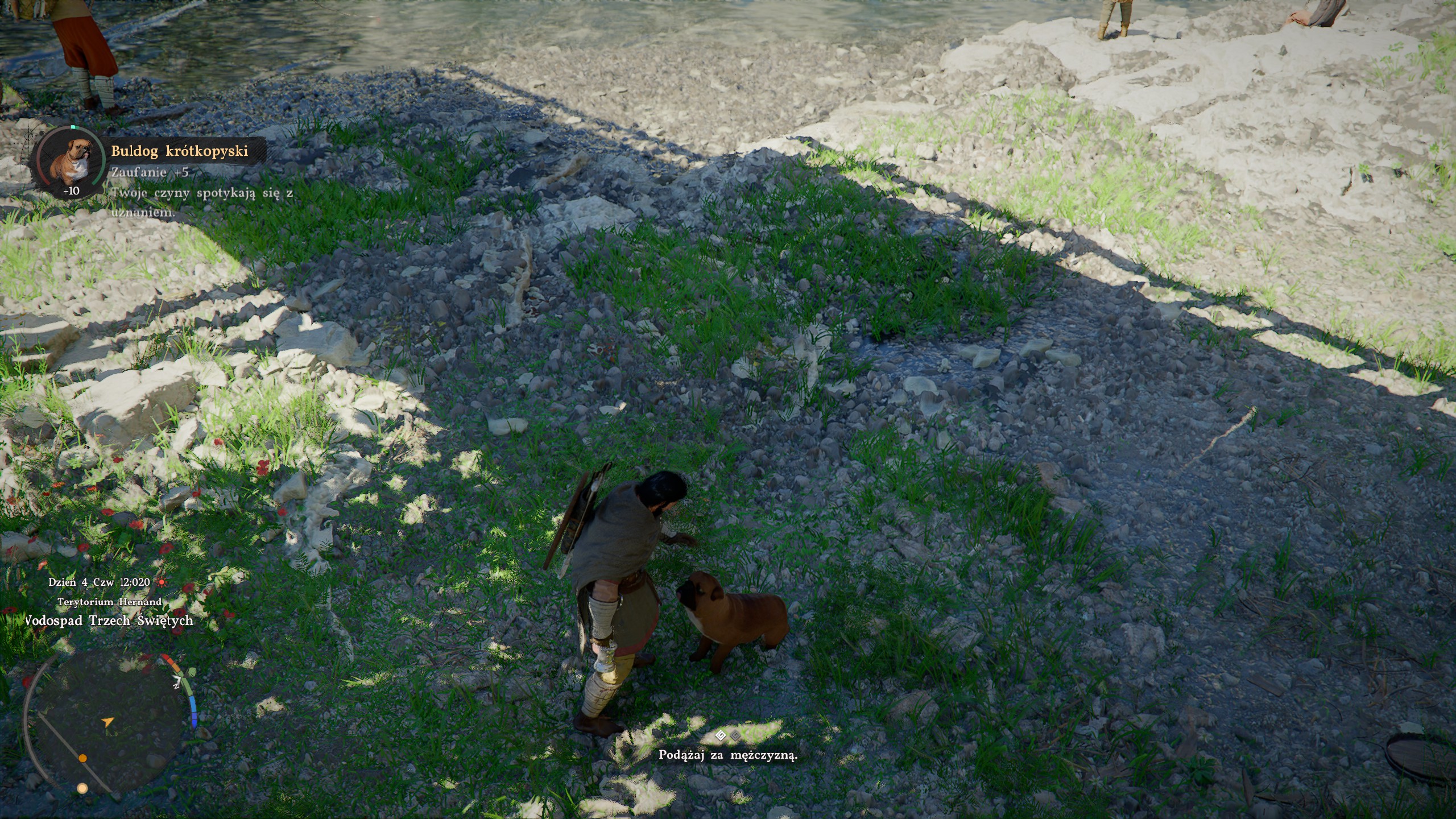 Crimson Desert - Psy i koty: czy można głaskać czworonogi?