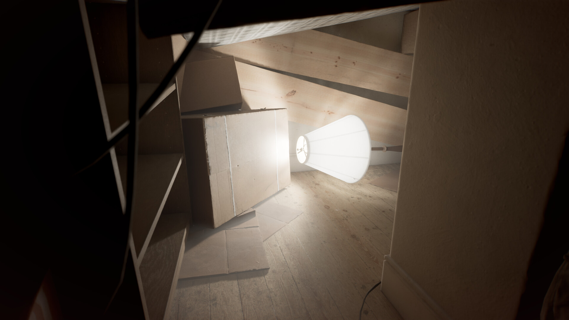 Perceptum #5