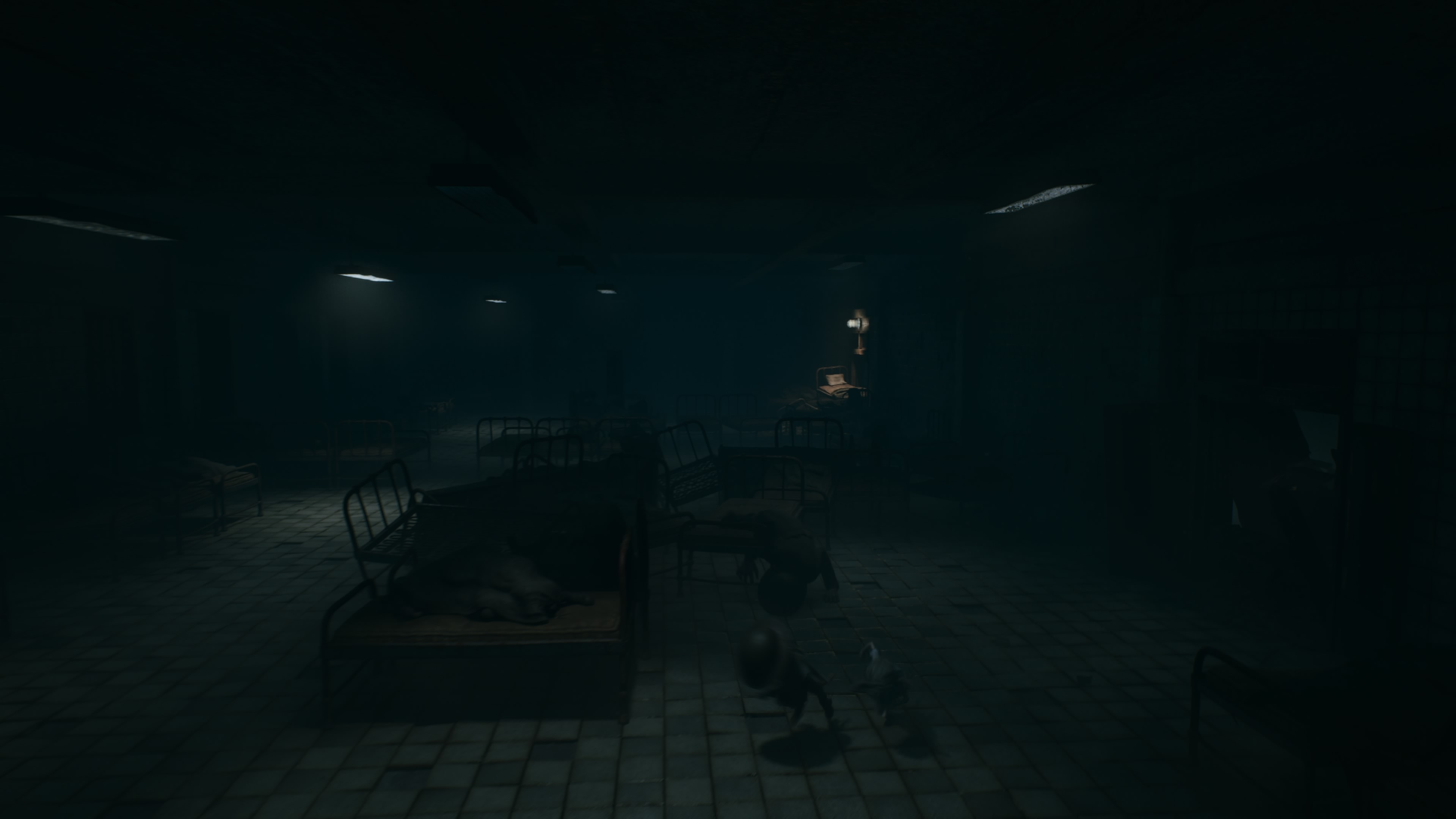 Reanimal - Akt 3: Łupy, opis przejścia, znajdźki: okopy, żołnierze, szpital, owca