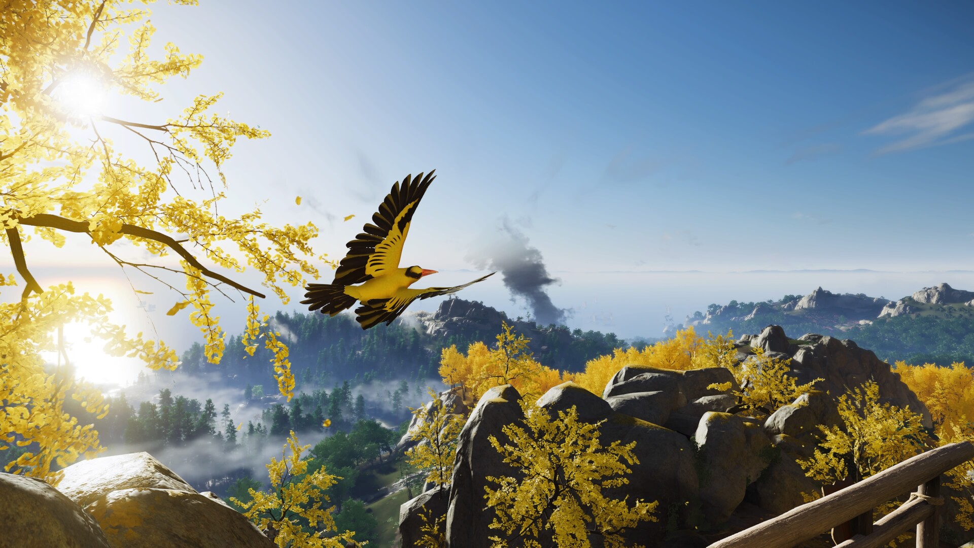 user-43088 blog gallery image