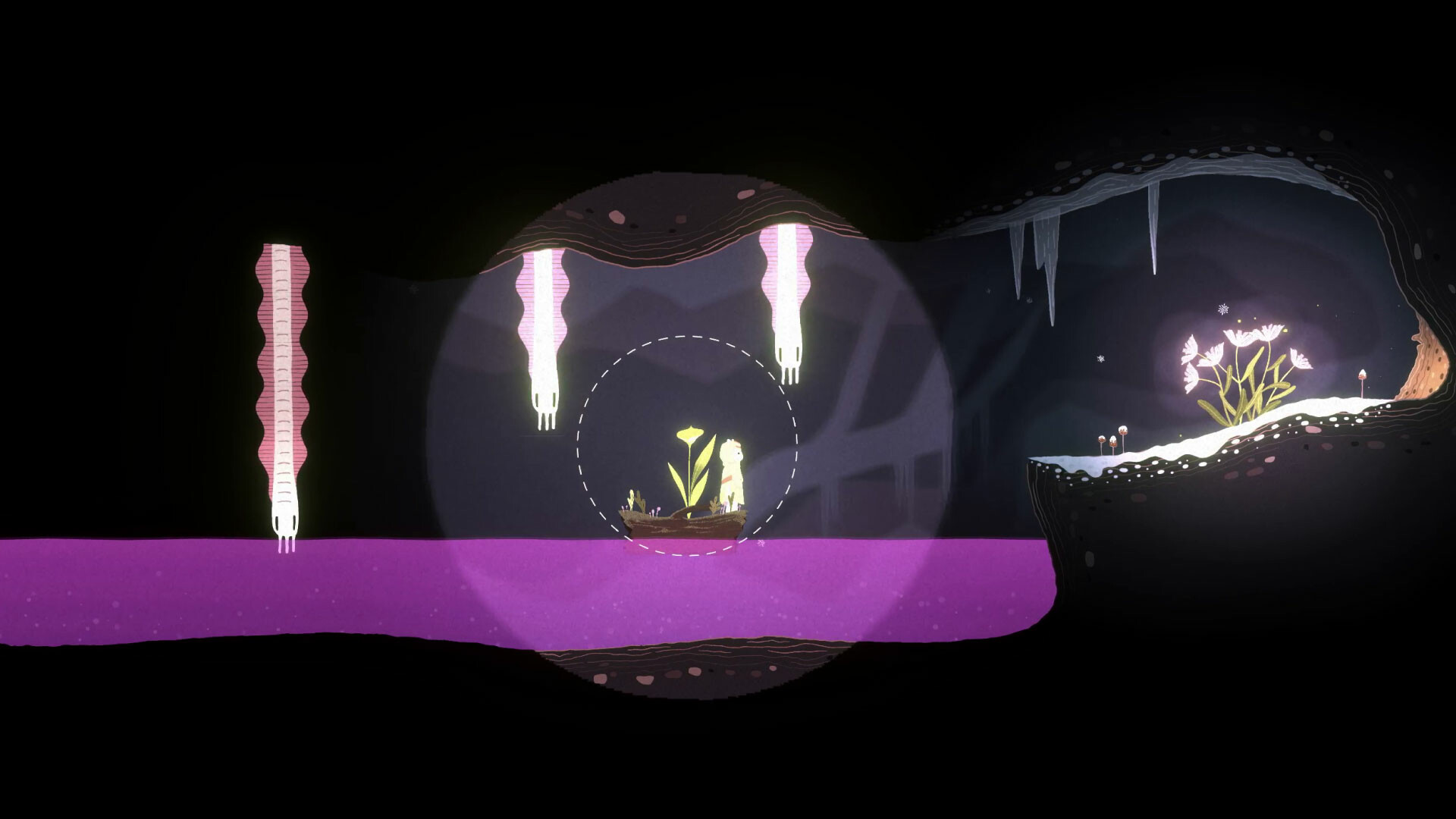 Oscuro Blossom’s Glow #11