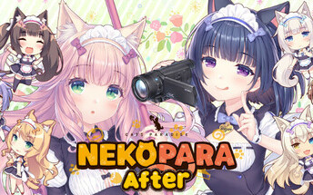 user-88981 main blog image