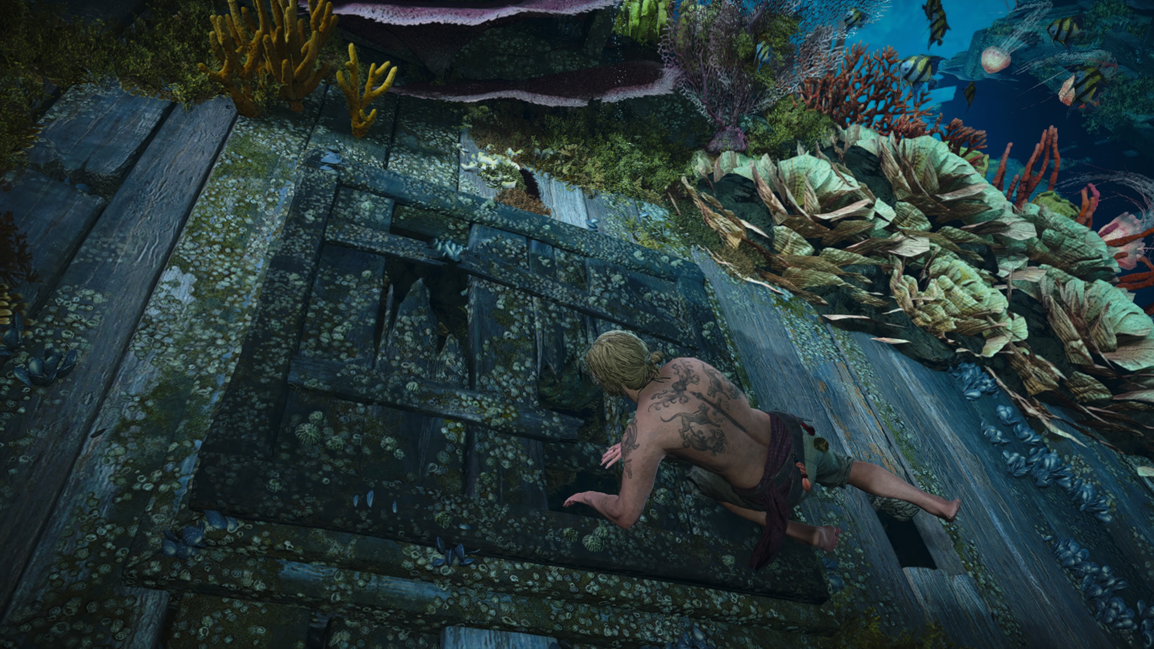Assassin's Creed Black Flag Resynced - Nurkowanie po lekarstwa: Czarnobrody, dzwon nurkowy, San Ignacio