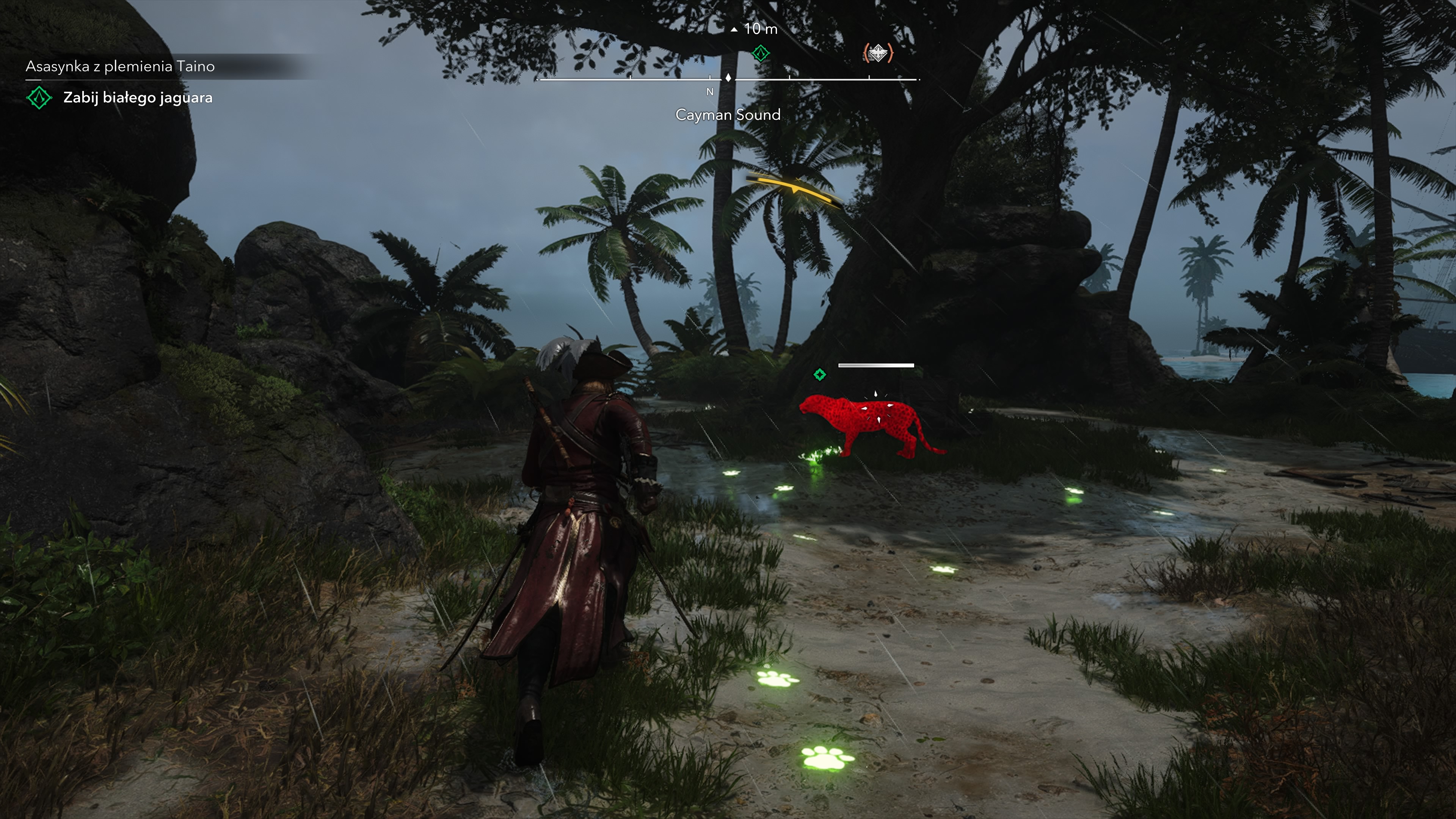 Assassin's Creed Black Flag Resynced - Asasynka z plemienia Taino, Okręty Zakonu: Opia Apito, Jaguar, Król Rybaków