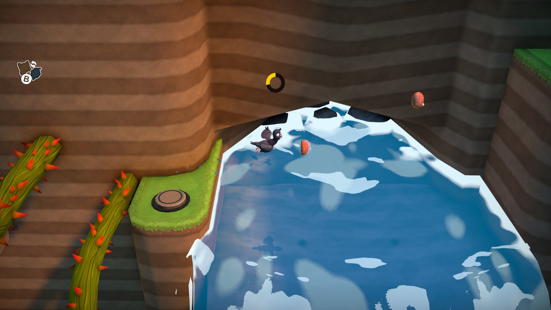 Raccoo Venture #15