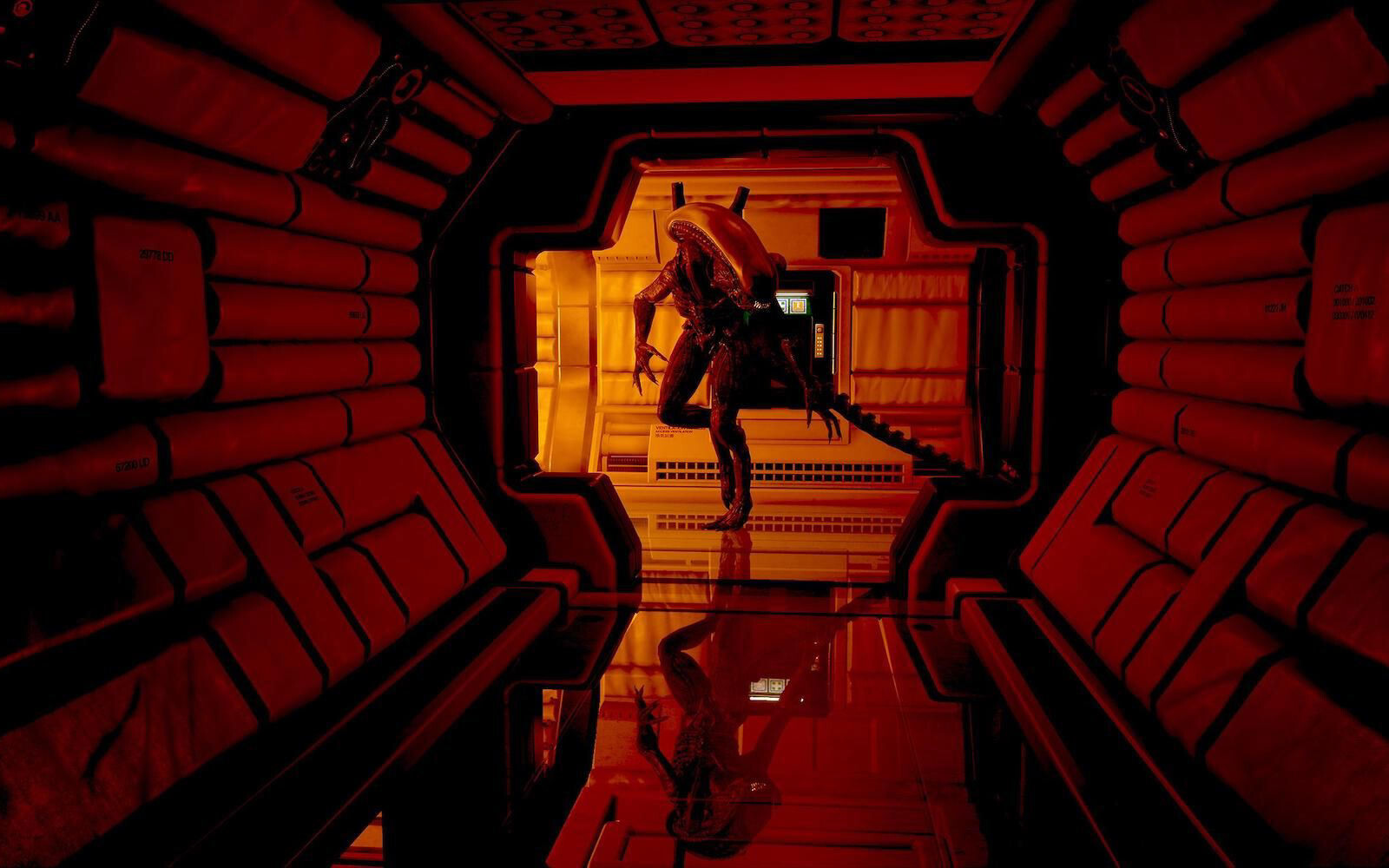 Ridley Scott nie był zachwycony nowym Obcym. „Ta seria potrzebuje pomocy”