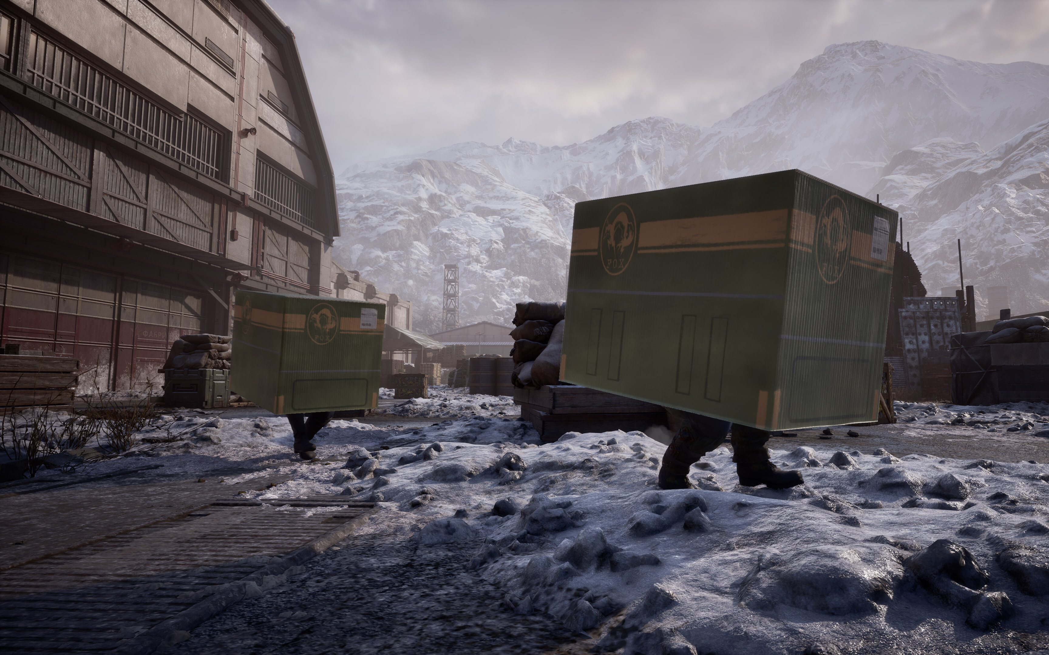 Metal Gear Solid Delta Fox Hunt - karton