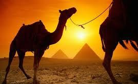 Tydzień w Egipcie z Cenegą