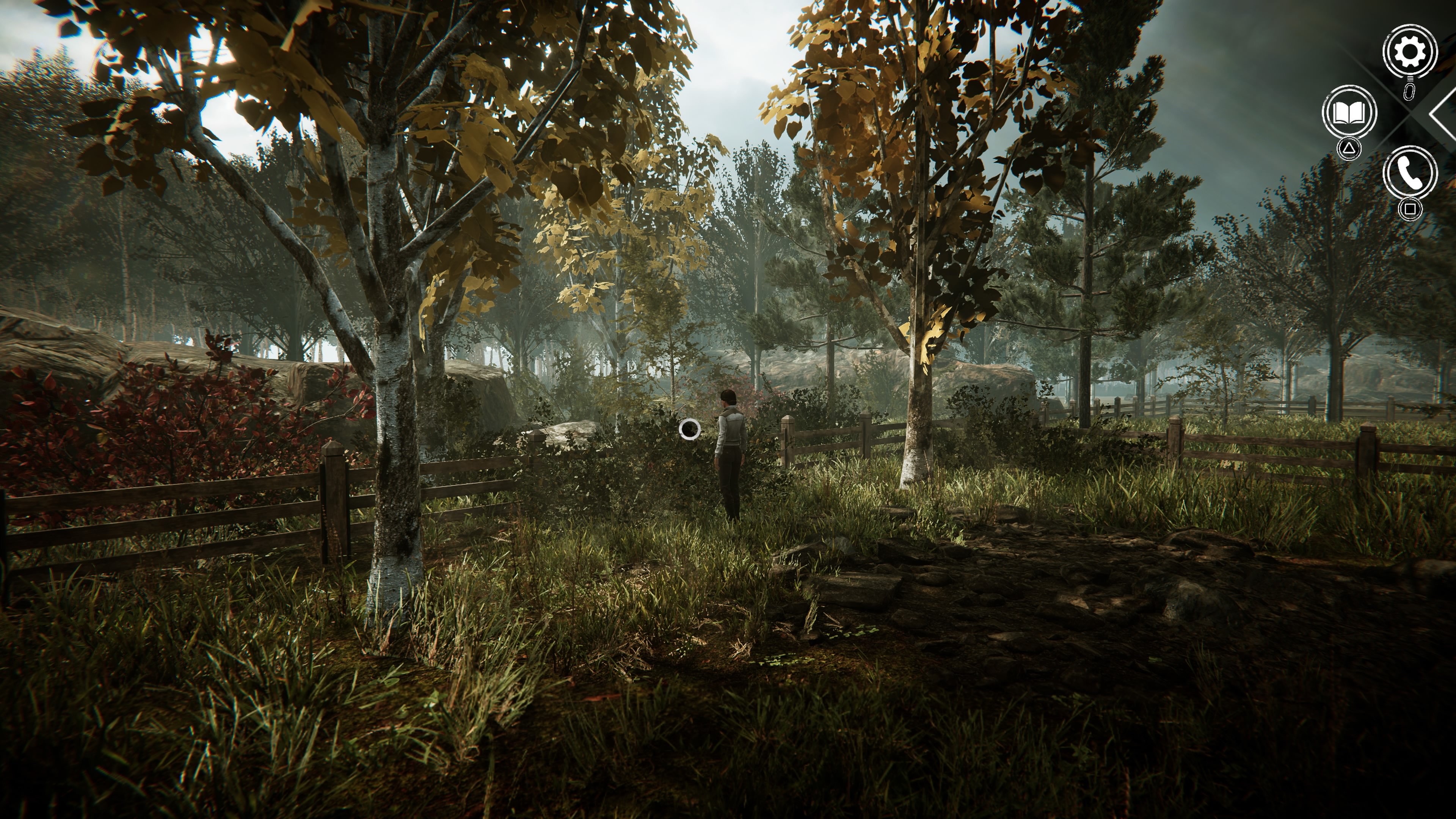 Syberia Remastered - Uniwersytet Barrockstadt: maszyna nakręcająca, rektorzy, biblioteka, zawiadowca, Pons, ogród, Sauvigron