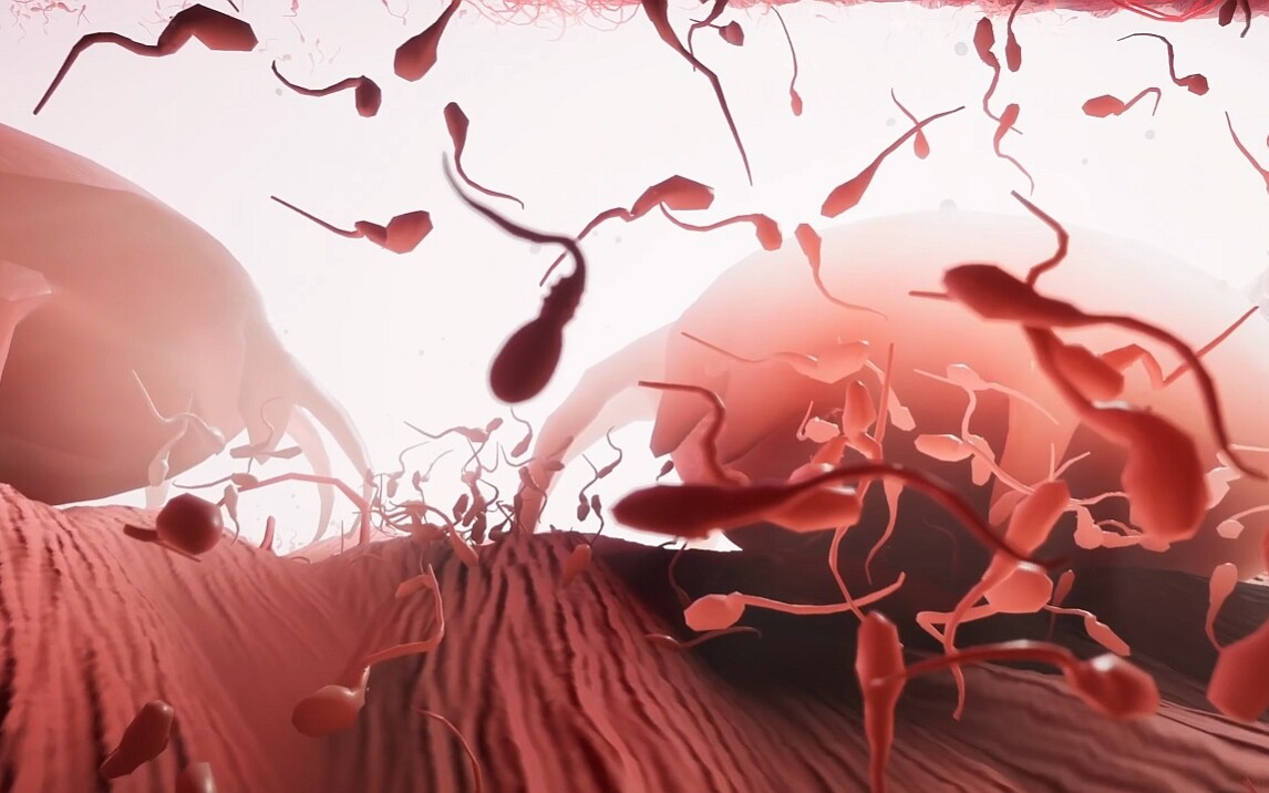 Wszyscy byliśmy... plemnikami, czyli Become – najdziwniejsza przygodówka 2026 roku zapowiedziana!