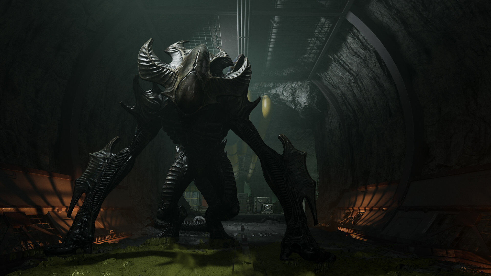 Aliens: Fireteam Elite 2 #5