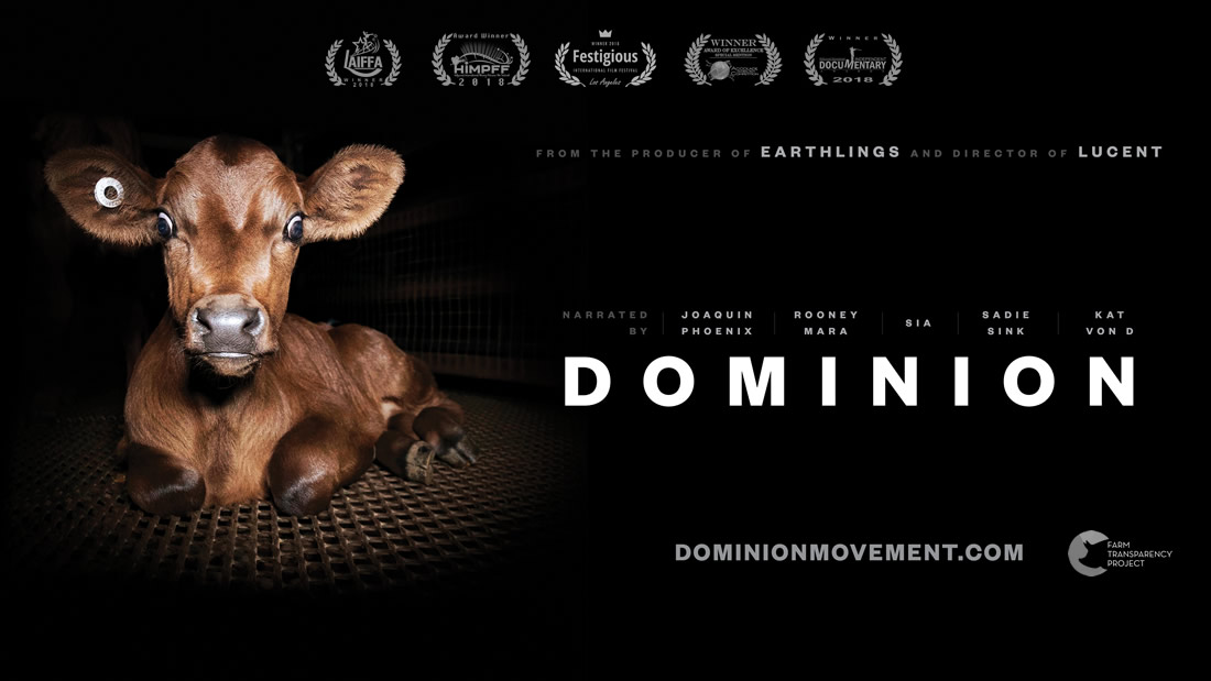 Dominion (2018) - recenzja filmu. Czego oczy nie widzą